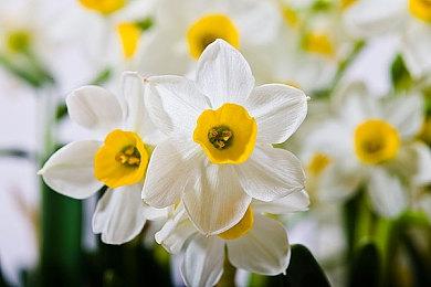 粉丝分析《星空》新视频：游戏图像和游戏性改进